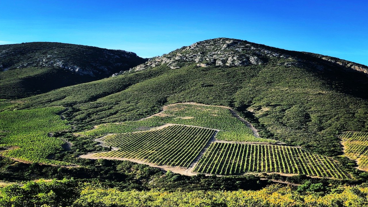 Terres Fidèles Soleilla Vineyard, Maury, Southern France | Domaine Direct