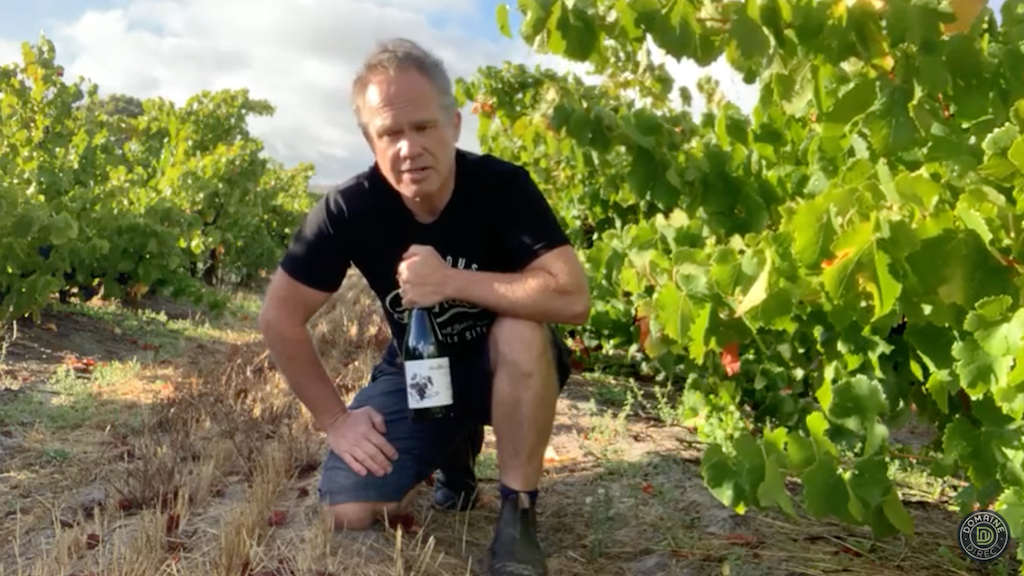 What is Domaine Direct? Giles Cooke, Master of Wine and winemaker explains more